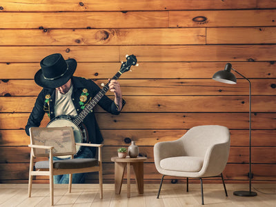 photo-wallpaper-cool-musician