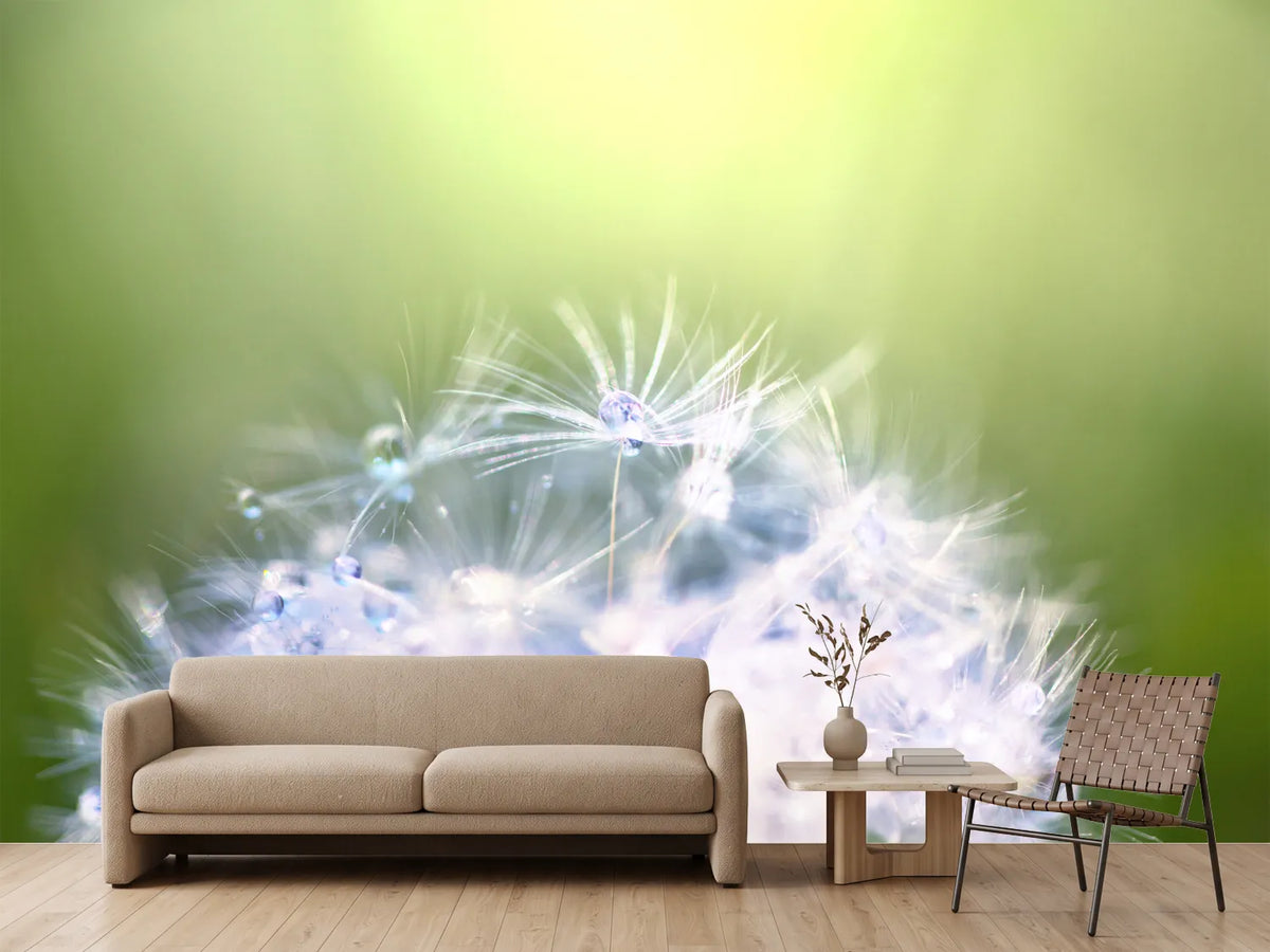 photo-wallpaper-dandelion-xl-in-morning-dew