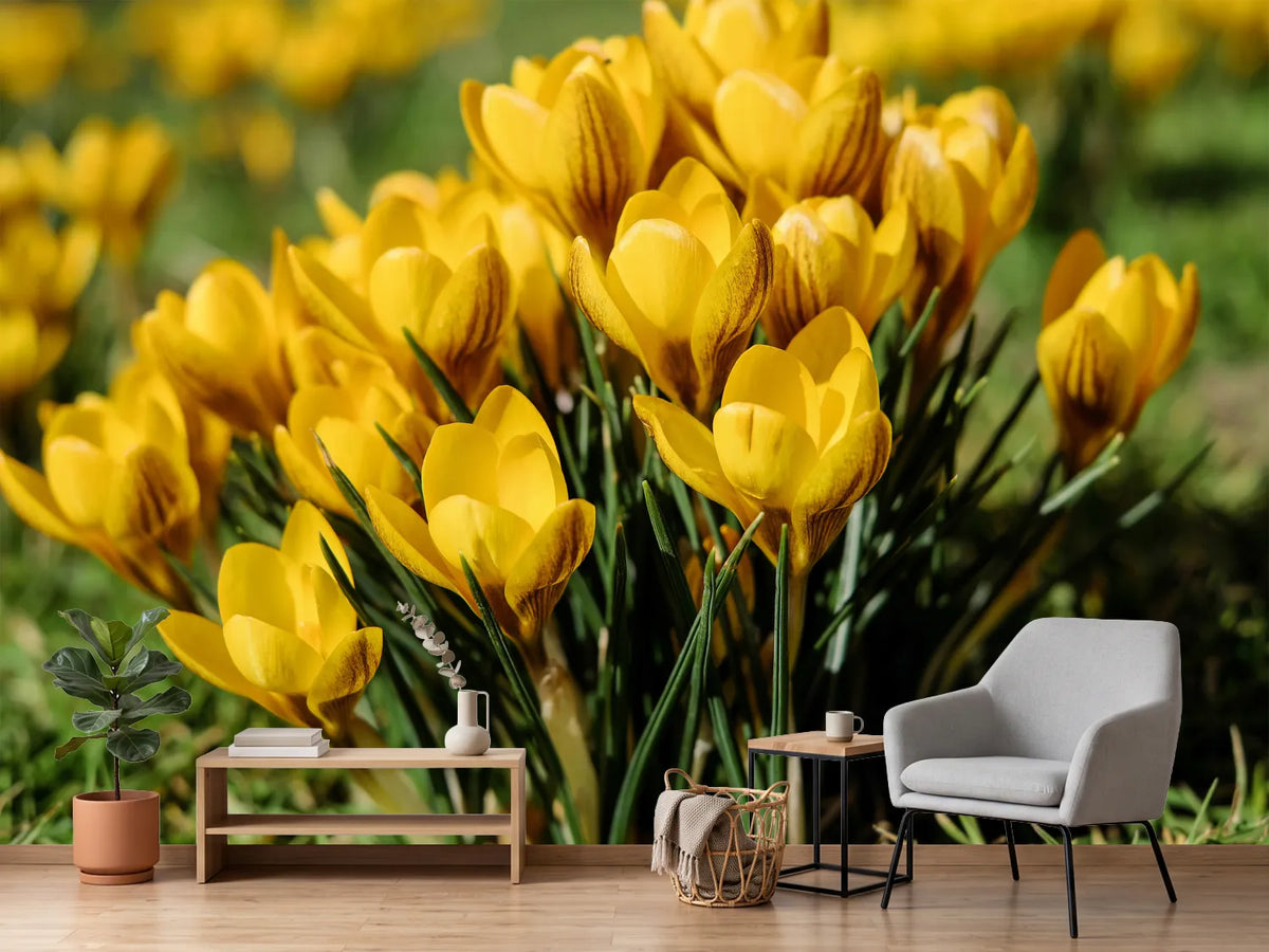 photo-wallpaper-crocuses-in-spring