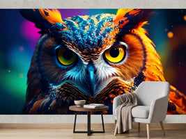 photo-wallpaper-close-up-colorful-owl-portrait