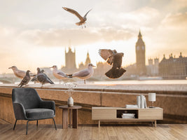 photo-wallpaper-the-pigeons-on-the-roof