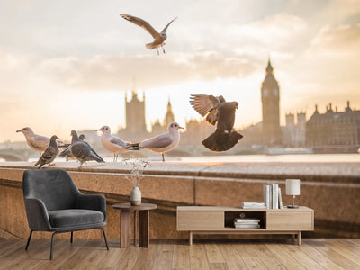 photo-wallpaper-the-pigeons-on-the-roof