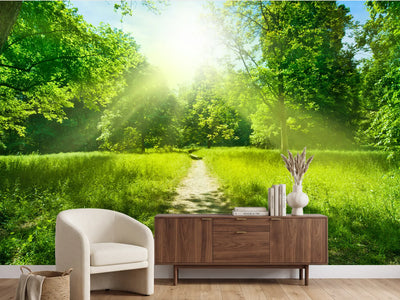 photo-wallpaper-forest-path