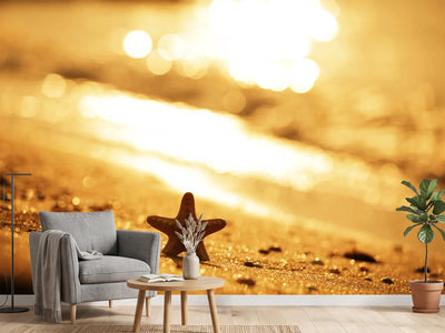photo-wallpaper-the-starfish