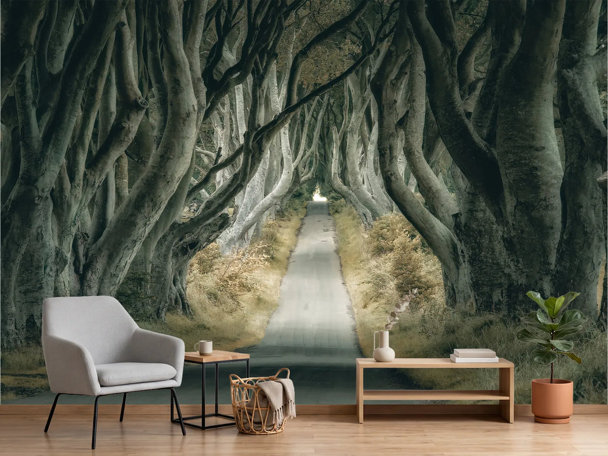photo-wallpaper-enchanted-tree-tunnel