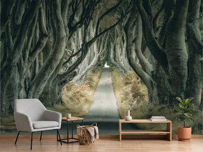photo-wallpaper-enchanted-tree-tunnel