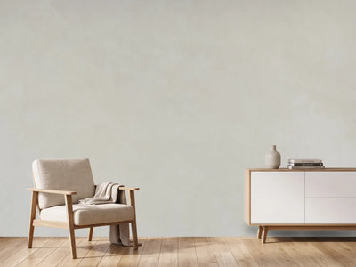 photo-wallpaper-subtle-plaster-surface