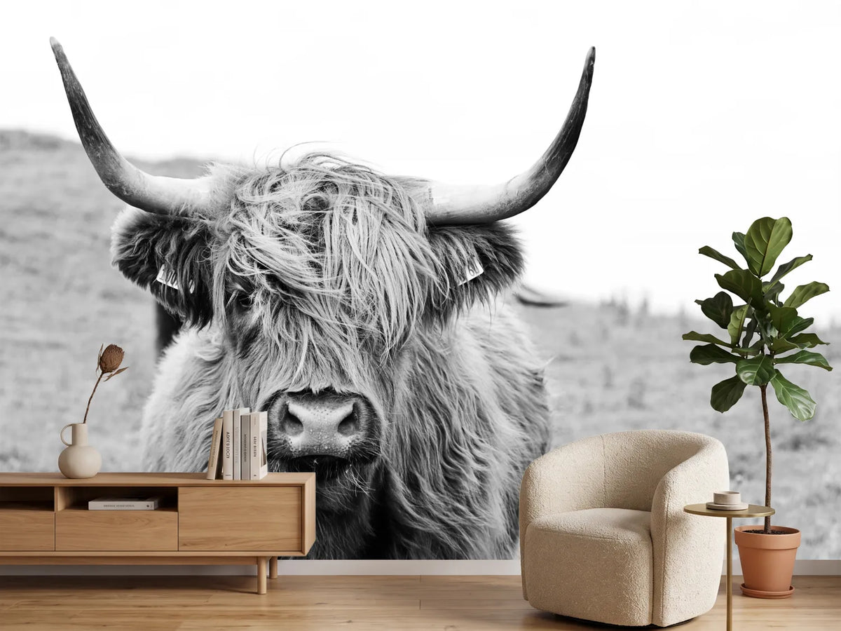 photo-wallpaper-brown-highland-cow-in-black-and-white