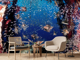 photo-wallpaper-lionfish-party-x