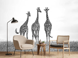 photo-wallpaper-giraffes-in-the-mara-plains-x