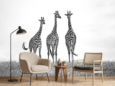 photo-wallpaper-giraffes-in-the-mara-plains-x