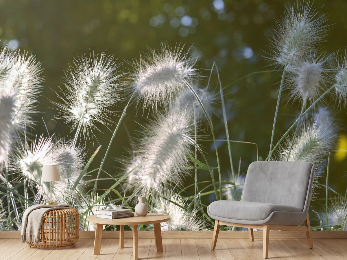 photo-wallpaper-ornamental-grasses-in-xl