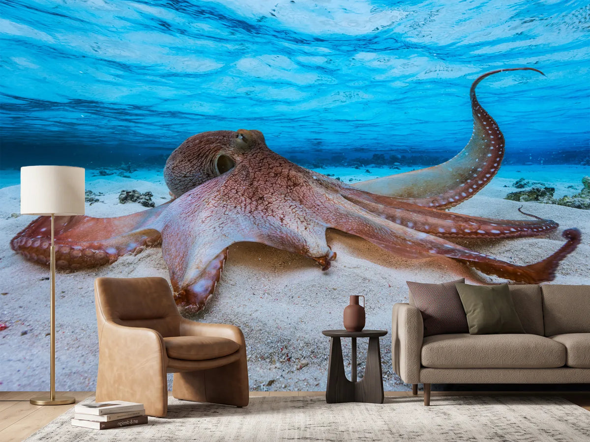 photo-wallpaper-octopus