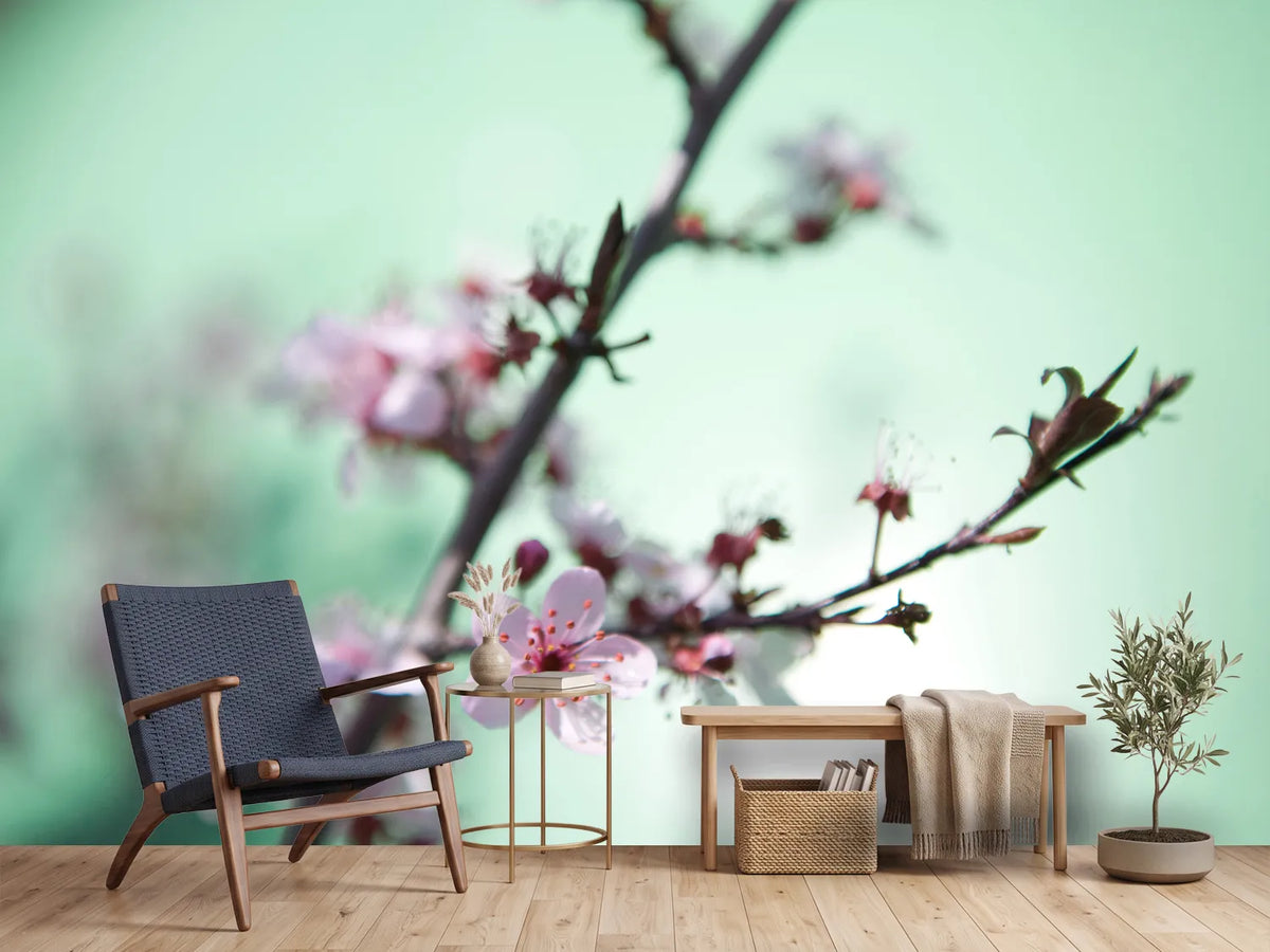 photo-wallpaper-beautiful-japanese-cherry-blossom