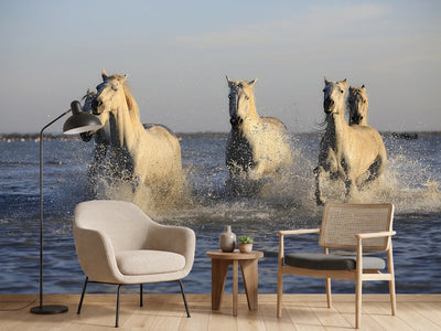 photo-wallpaper-horses-in-the-sea