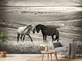 photo-wallpaper-close-encounter-x