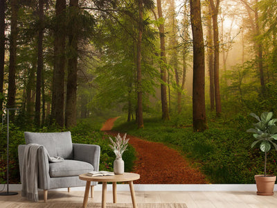 photo-wallpaper-the-red-path-x