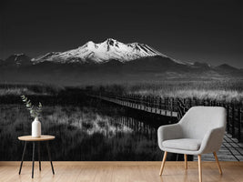 photo-wallpaper-road-to-mountain-x