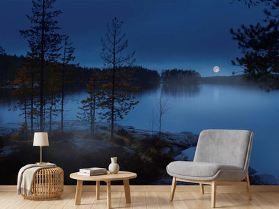 photo-wallpaper-night-mist-x
