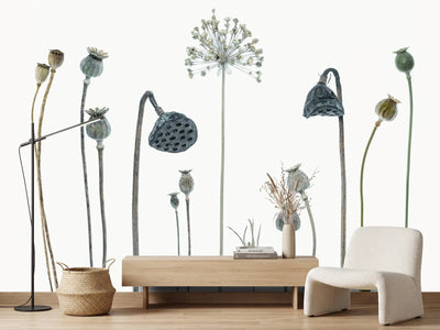 photo-wallpaper-seed-heads-x
