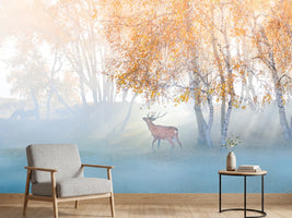 photo-wallpaper-elk-lost-in-mist-x