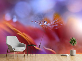photo-wallpaper-dance-in-the-light