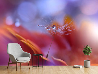 photo-wallpaper-dance-in-the-light
