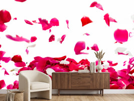 photo-wallpaper-let-it-rain-red-roses-for-me