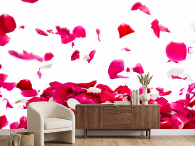 photo-wallpaper-let-it-rain-red-roses-for-me