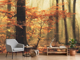 photo-wallpaper-soft-fall-x