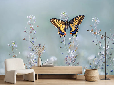 photo-wallpaper-swallowtail-beauty