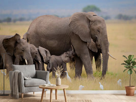 photo-wallpaper-big-family-x