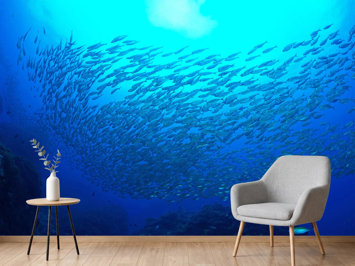 photo-wallpaper-fish-world