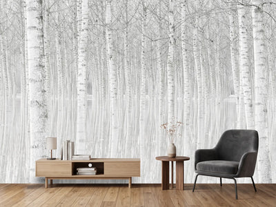 photo-wallpaper-trees