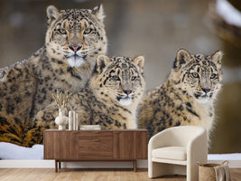 photo-wallpaper-family-xuu