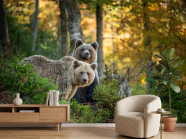 photo-wallpaper-brown-bear-in-autumn-forest