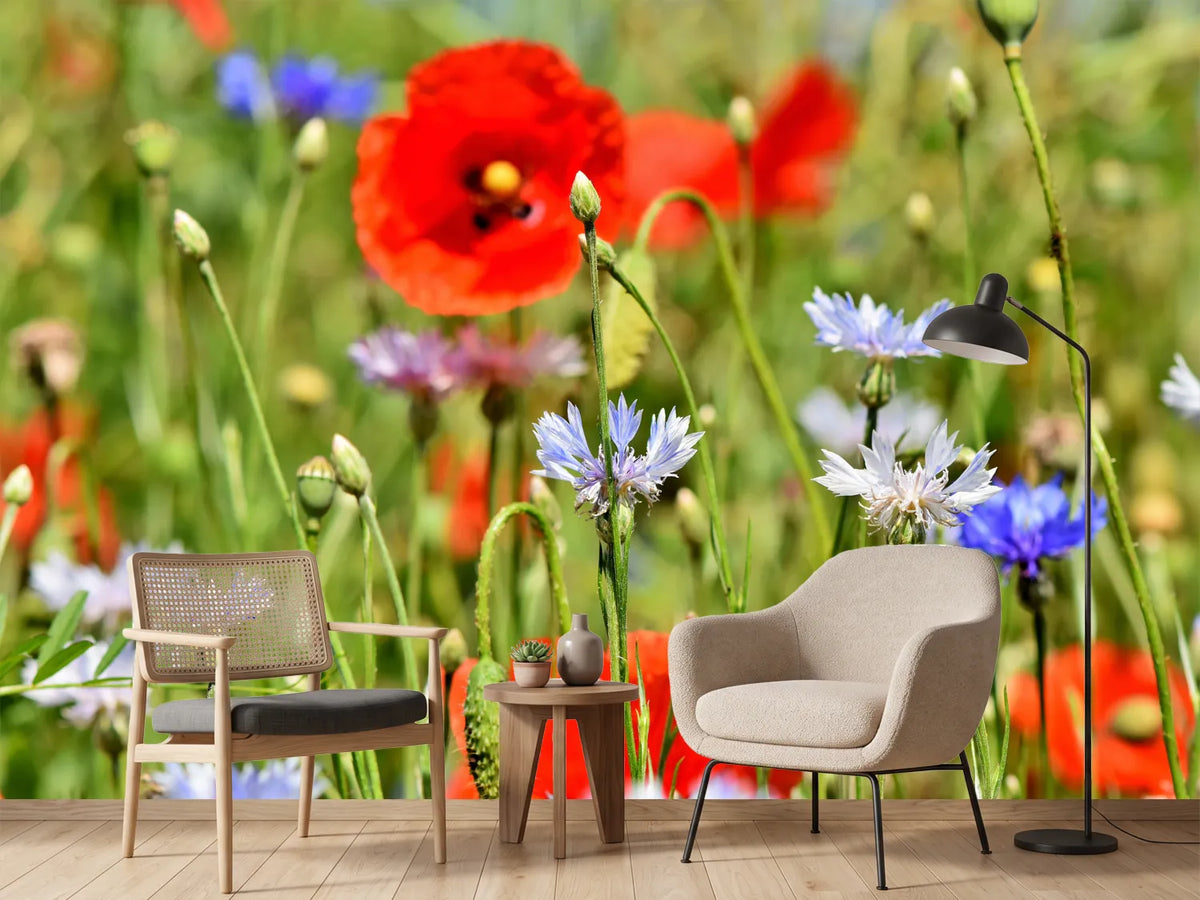 photo-wallpaper-the-wild-poppy-xl