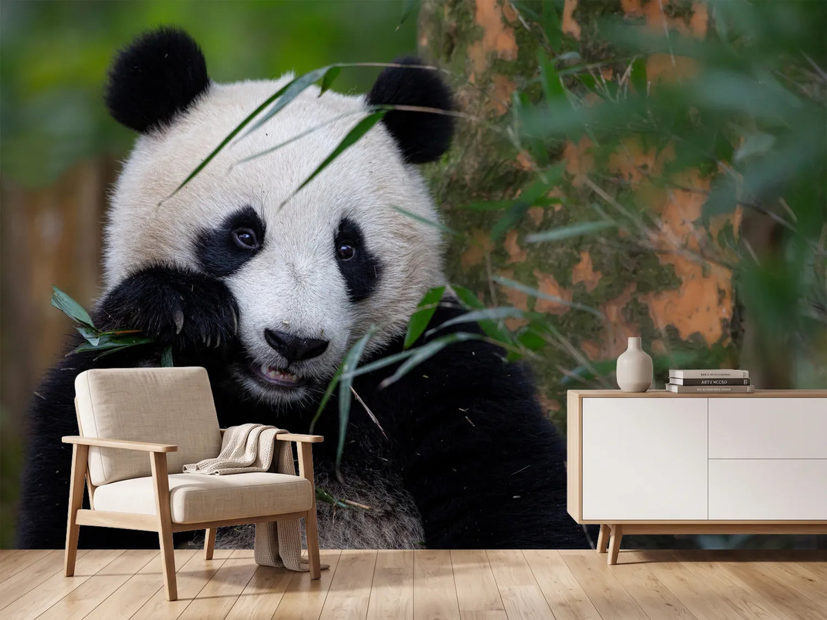 photo-wallpaper-bamboo-time-x