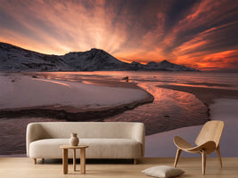 photo-wallpaper-golden-sunset