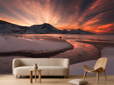 photo-wallpaper-golden-sunset