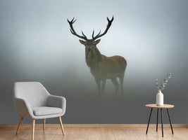 photo-wallpaper-majestic-stag-in-fog