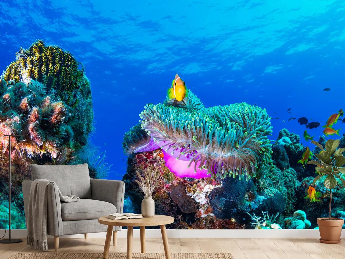 photo-wallpaper-sea-life