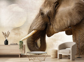 photo-wallpaper-portrait-of-an-elephant