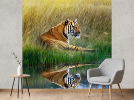 photo-wallpaper-the-tiger