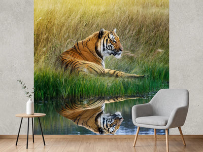 photo-wallpaper-the-tiger