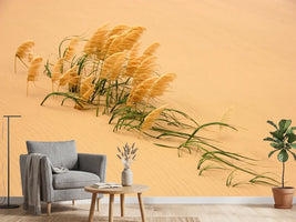 photo-wallpaper-pampas-grass-in-sand-dune-x