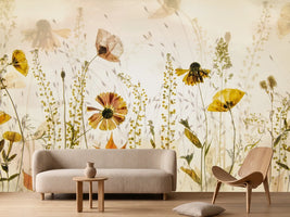 photo-wallpaper-in-the-field-x