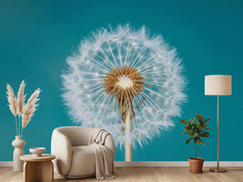 photo-wallpaper-dandelion-a