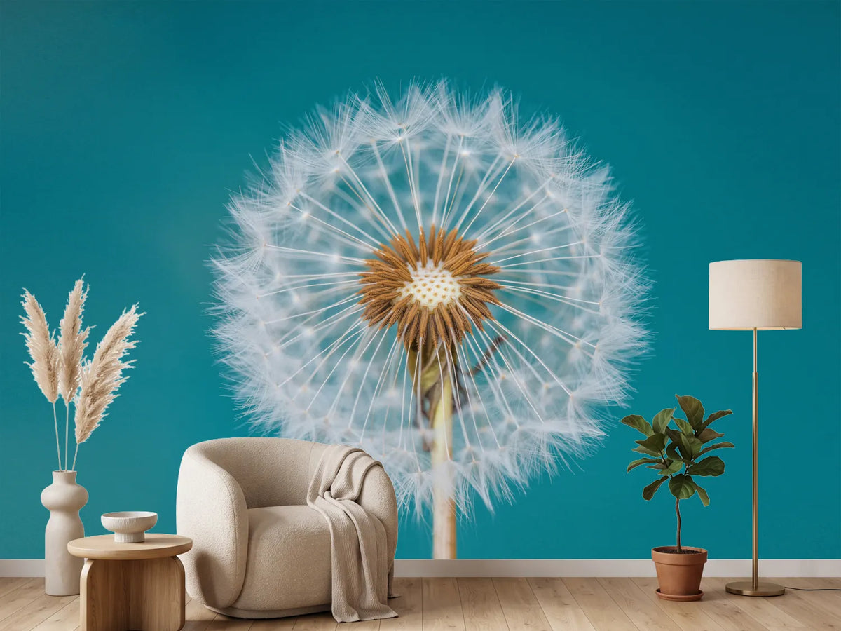 photo-wallpaper-dandelion-a