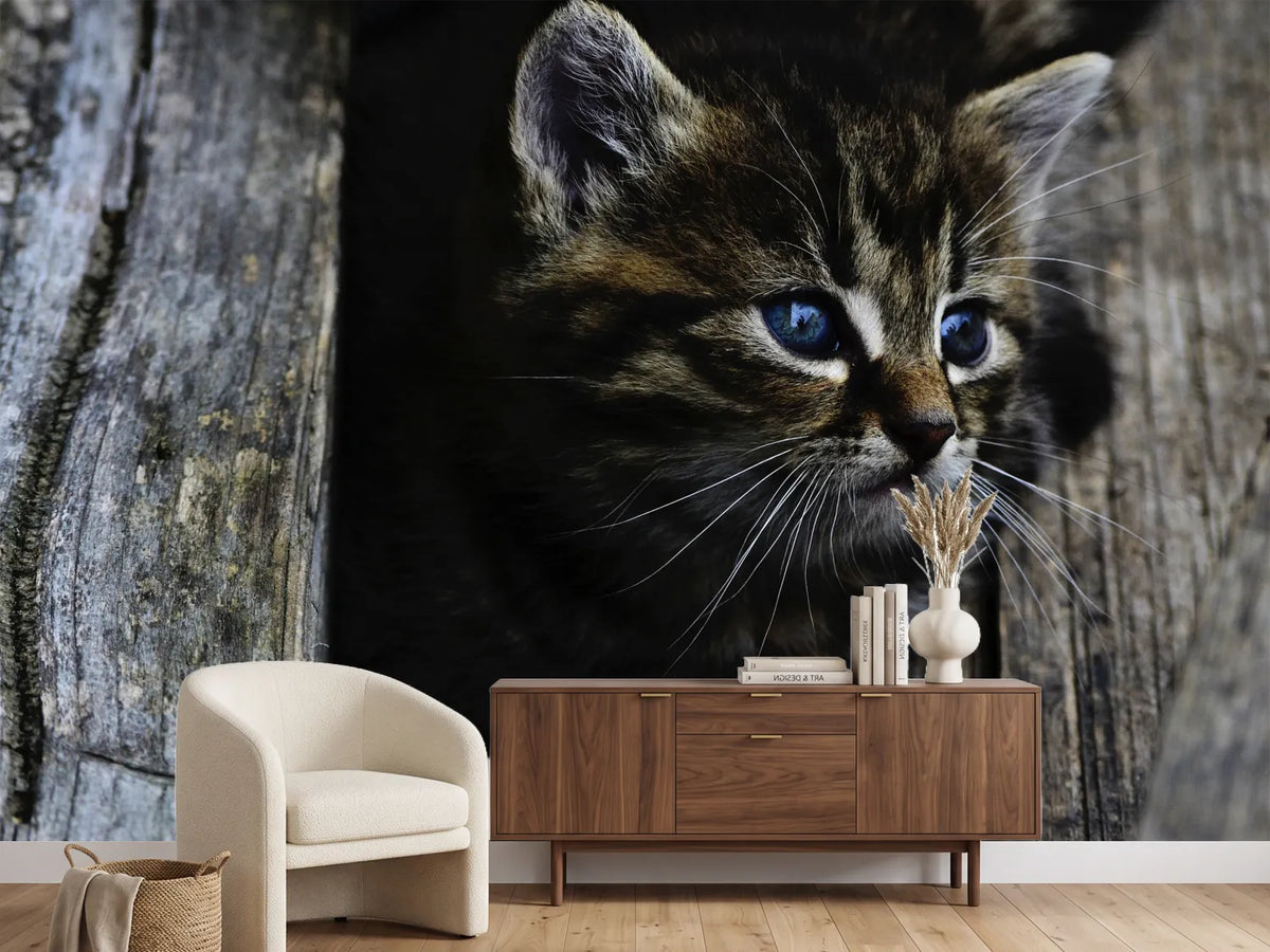 photo-wallpaper-cats-child